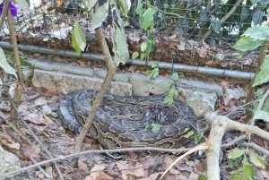 Zanzibar: Nungwi Kilosa Zoo & Transparent Kayak with Drone