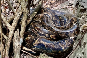 Zanzibar: Nungwi Kilosa Zoo & Transparent Kayak with Drone