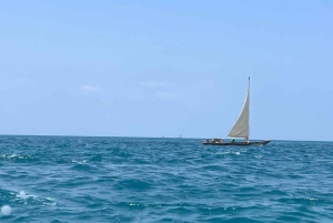 ザンジバル：ガイド付きニュンド砂州プライベートボートツアーをご案内いたします