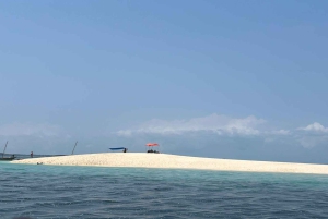 ザンジバル：ガイド付きニュンド砂州プライベートボートツアーをご案内いたします