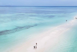 ザンジバル：ガイド付きニュンド砂州プライベートボートツアーをご案内いたします