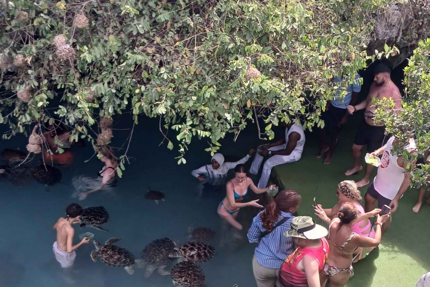 ZANZIBAR: esplora Prison Island e la grotta di Salaam con le tartarughe