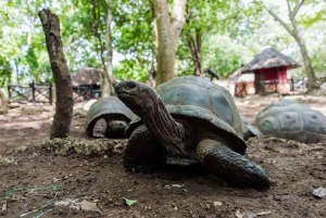 Zanzibar : Excursion en bateau à l'île-prison et au parc national de Jozani
