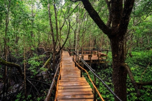 Zanzibar : Excursion en bateau à l'île-prison et au parc national de Jozani