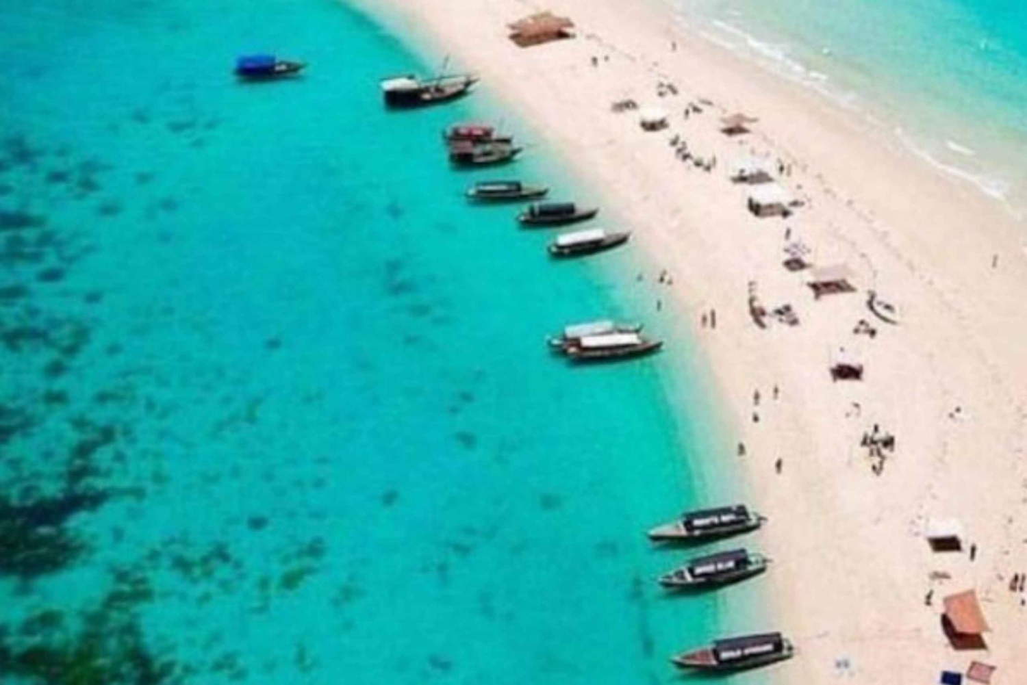 Zanzibar: Prison Island og Nakupenda Sandbank-tur