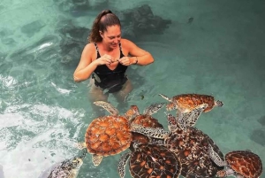 Zanzíbar: isla de la Prisión, granja de especias y tortugas