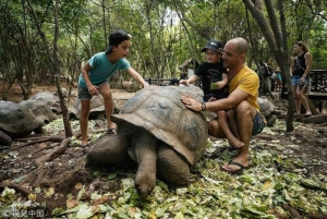 Zanzíbar: isla de la Prisión, granja de especias y tortugas