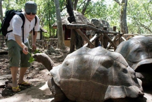 Zanzíbar: isla de la Prisión, granja de especias y tortugas