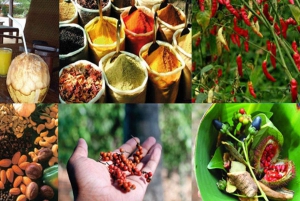 Zanzíbar: isla de la Prisión, granja de especias y tortugas