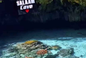 Zanzíbar: isla de la Prisión, granja de especias y tortugas