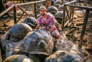 Zanzíbar: isla de la Prisión, granja de especias y tortugas
