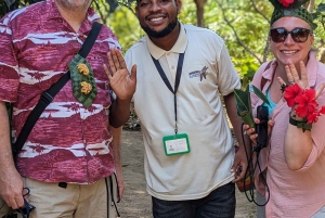 Zanzíbar: isla de la Prisión, granja de especias y tortugas