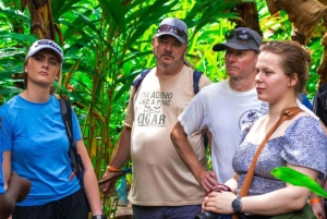 Zanzíbar: isla de la Prisión, granja de especias y tortugas