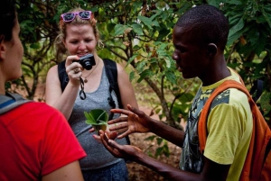 Zanzíbar: isla de la Prisión, granja de especias y tortugas