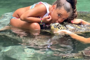 Zanzíbar: isla de la Prisión, granja de especias y tortugas