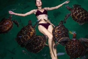 Zanzíbar: isla de la Prisión, granja de especias y tortugas