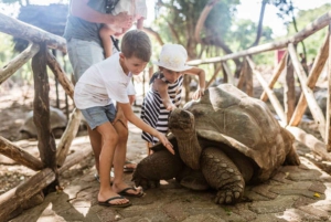 Zanzíbar: isla de la Prisión, granja de especias y tortugas
