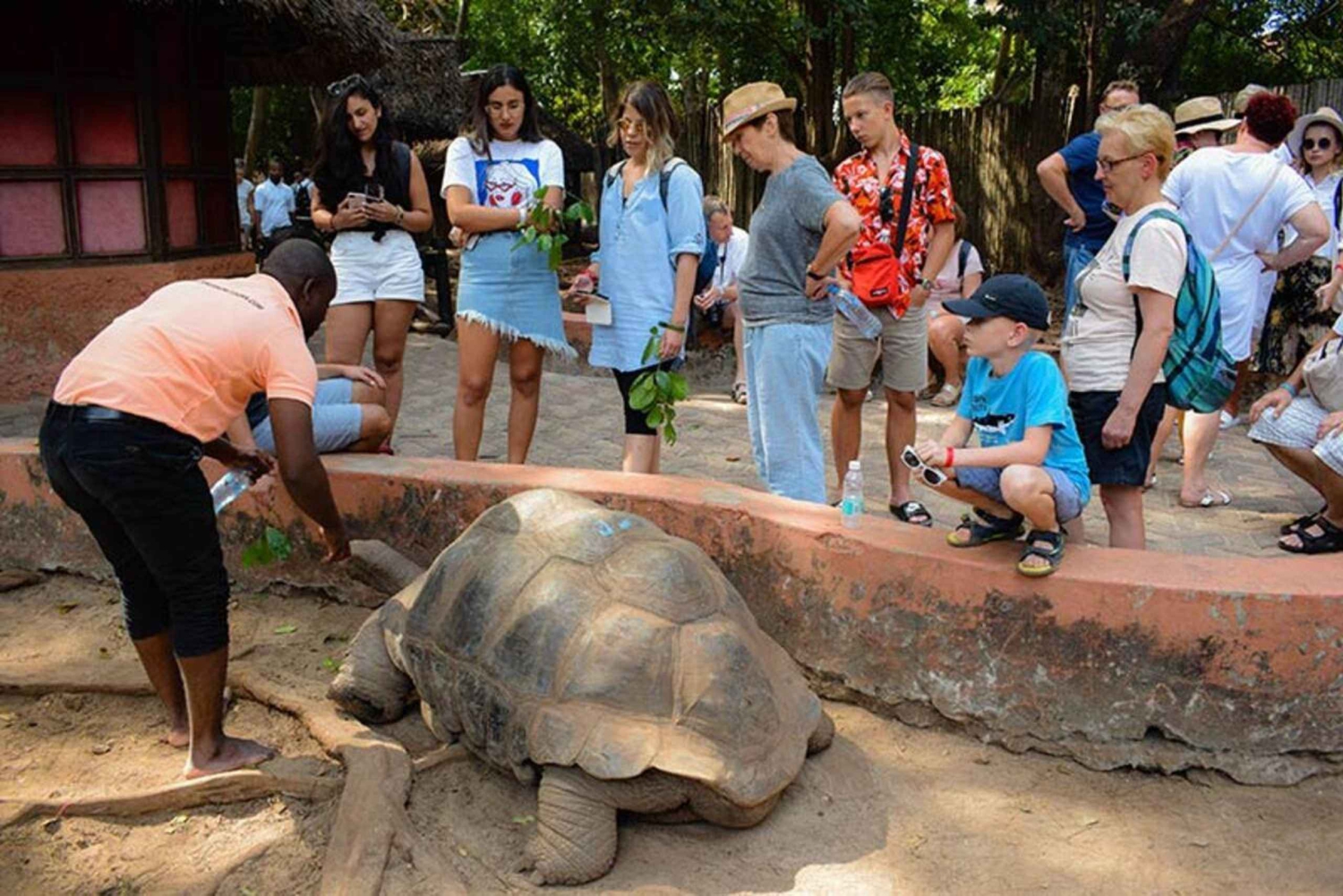 Zanzibar: privat fengselsøy, skilpadder og steinby-tur