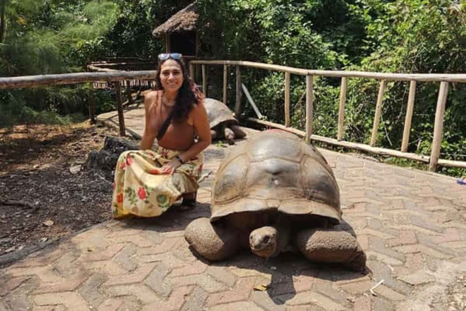 ZANZIBAR: Ilha da Prisão, Cidade de Pedra e Comida Noturna COM GUIA