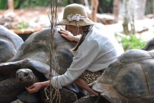 Zanzibar: Prison Island & Stone Town -yksityinen kierros + nouto