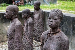 Zanzibar: Prison Island & Stone Town -yksityinen kierros + nouto