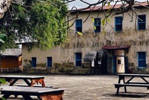 Zanzibar: Prison Island & Stone Town -yksityinen kierros + nouto