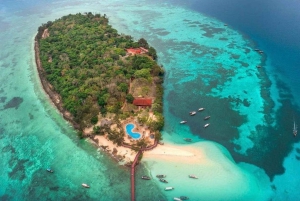 Zanzibar: Prison Island & Stone Town -yksityinen kierros + nouto