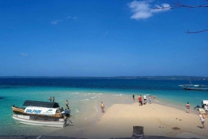 Zanzibar: Prison Island & Stone Town -yksityinen kierros + nouto