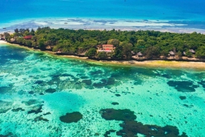 Zanzibar: Prison Island & Stone Town -yksityinen kierros + nouto