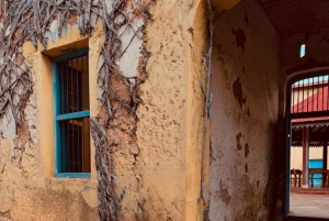 Zanzibar: Prison Island & Stone Town -yksityinen kierros + nouto