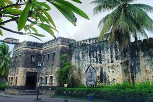 Zanzibar: Prison Island & Stone Town -yksityinen kierros + nouto