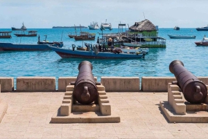 Zanzibar: Prison Island & Stone Town -yksityinen kierros + nouto