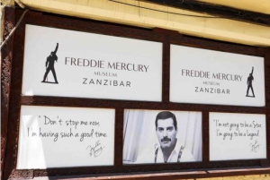 Zanzibar: Prison Island & Stone Town -yksityinen kierros + nouto