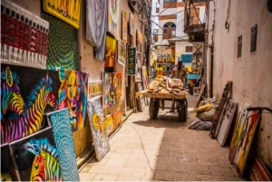 Zanzibar: Prison Island & Stone Town -yksityinen kierros + nouto