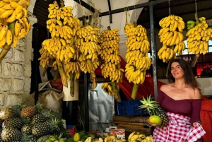 Zanzibar: Prison Island & Stone Town -yksityinen kierros + nouto