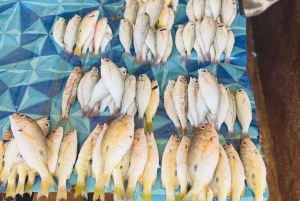 Zanzibar: Prison Island & Stone Town -yksityinen kierros + nouto