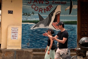 Zanzibar: Prison Island & Stone Town -yksityinen kierros + nouto