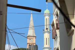 Zanzibar: Prison Island & Stone Town -yksityinen kierros + nouto