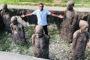 Zanzibar: Prison Island & Stone Town -yksityinen kierros + nouto