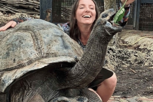 Zanzibar: Wyspa Więzienna, Kamienne Miasto i rejs dau o zachodzie słońca