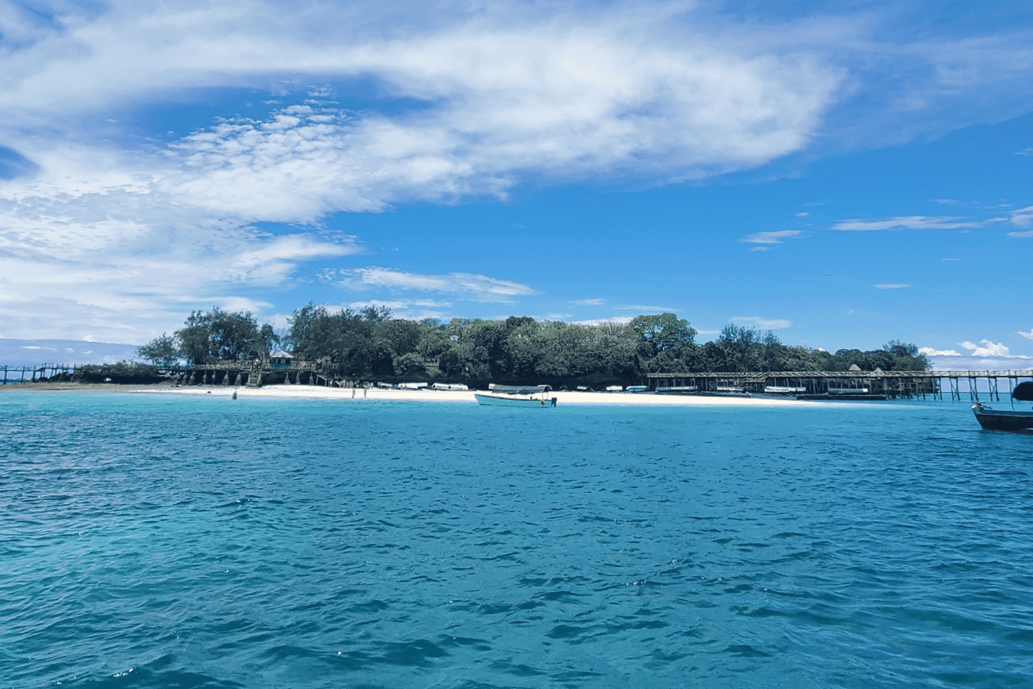Zanzibar: wycieczka łodzią motorową na wyspę Prison Island z nurkowaniem z rurką