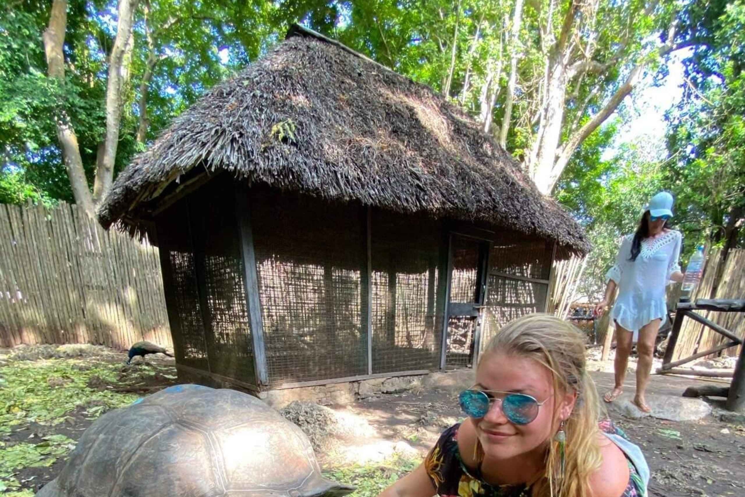 Zanzíbar: excursión a Prison Island con tortugas gigantes y paseo en barco.