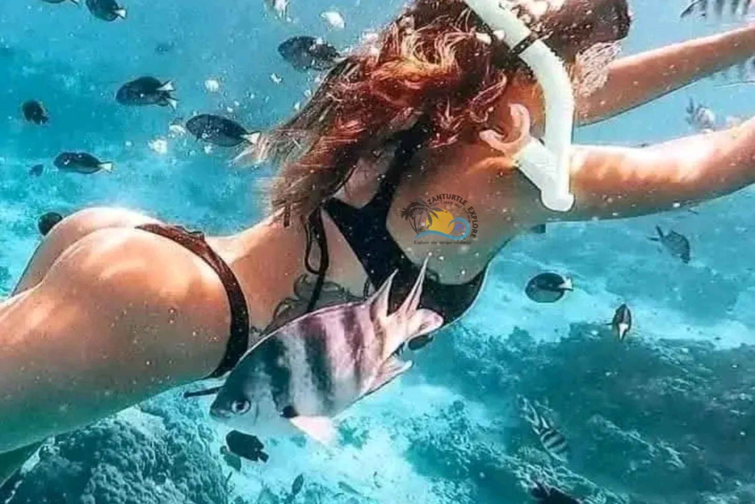 Sansibar: Snorklaus ja uiminen meritähtien kanssa Sinisessä laguunissa