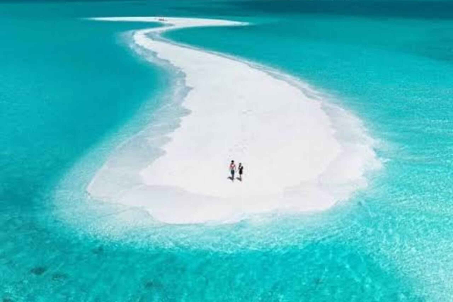 Zanzibar: Privat tur til Nakupenda-sandbanken med sjømatlunsj