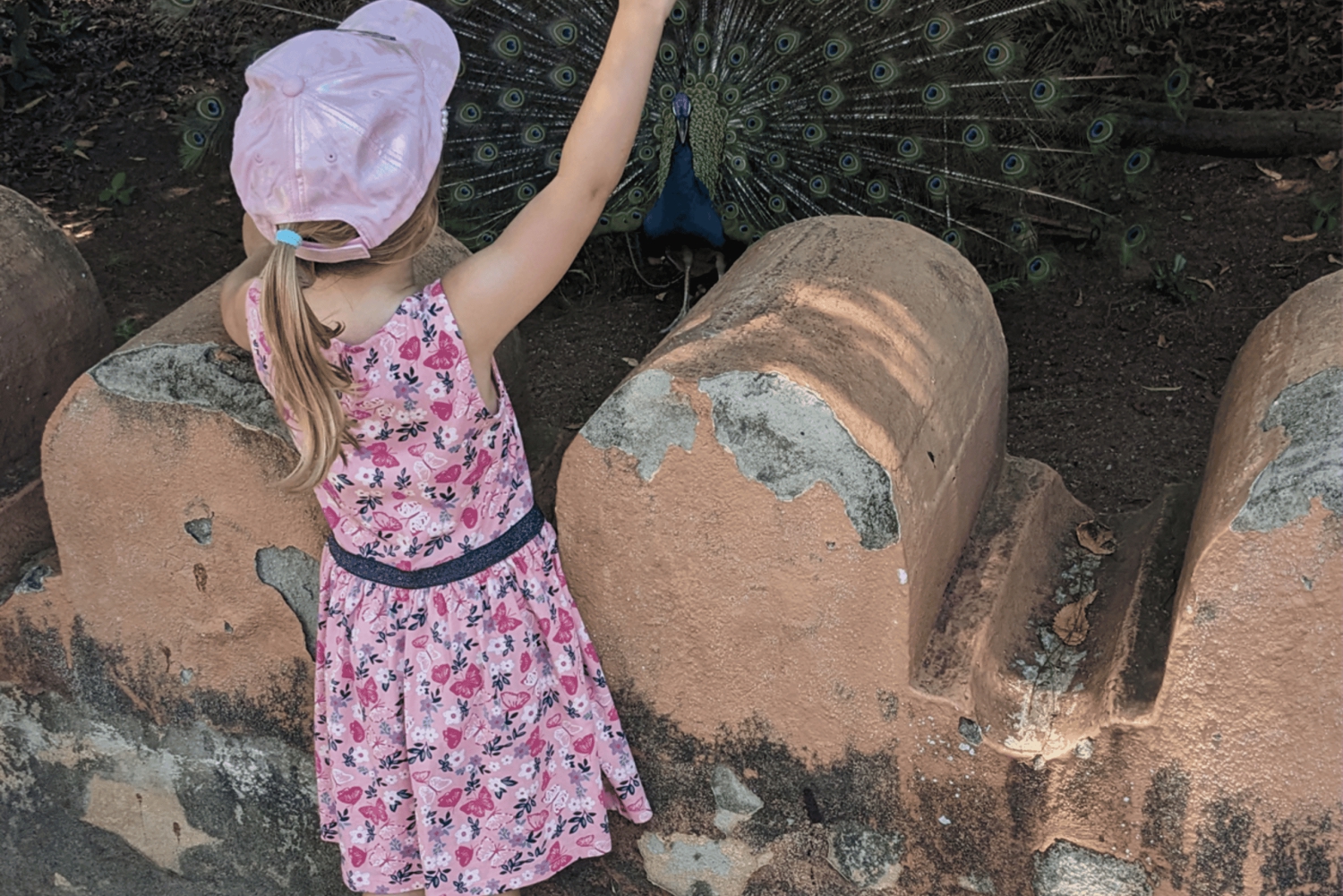 Zanzibar: Yksityinen vankilasaari- ja kilpikonnaretki