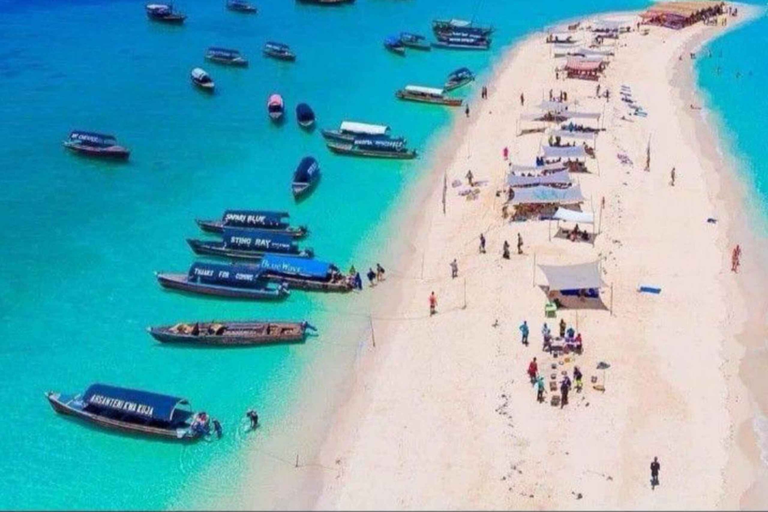 Zanzibar: Pungume privat safari med blå picnic