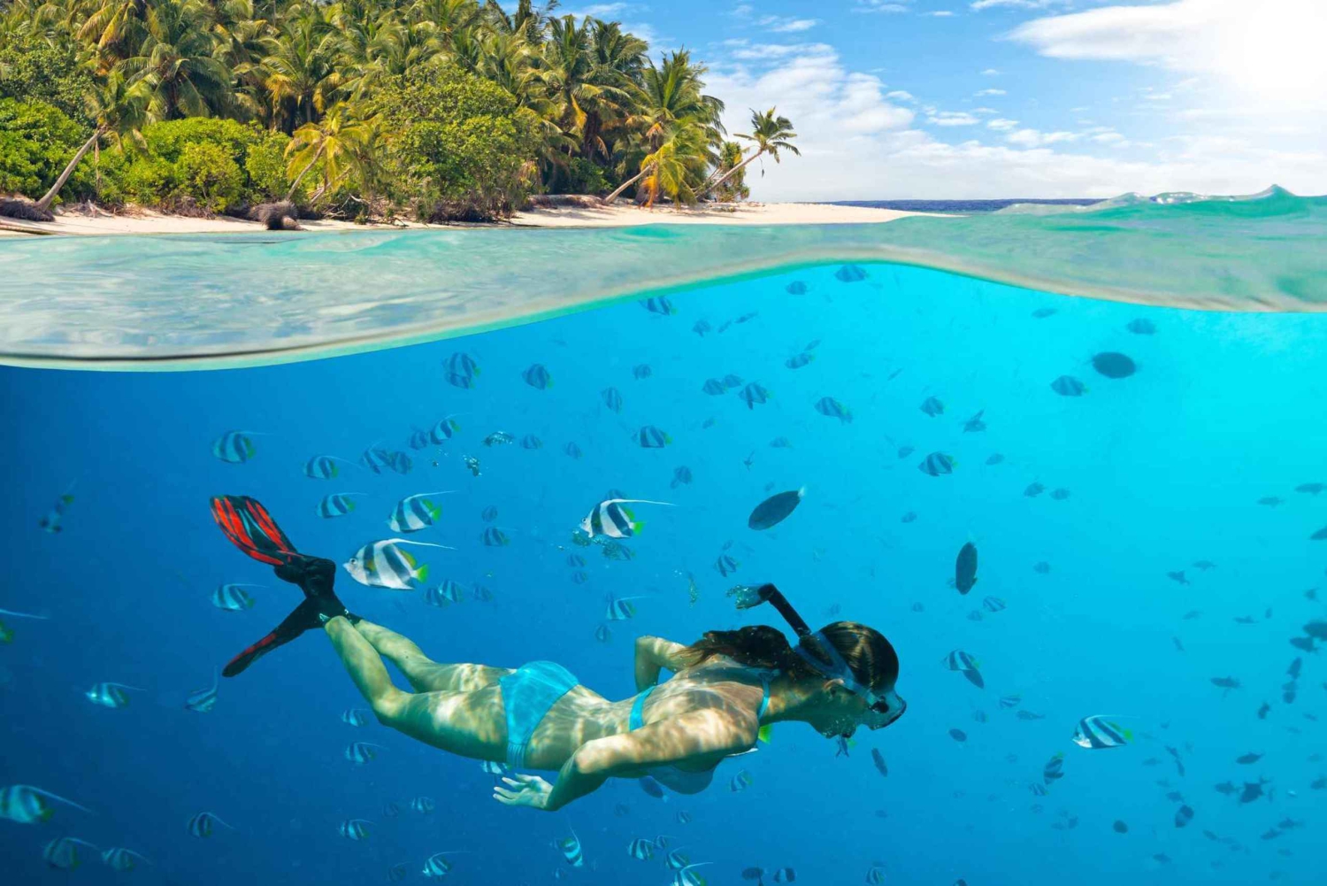 Zanzibar| Safari Blue Experience