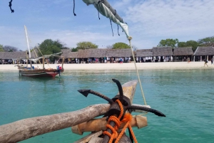 ザンジバル：サファリブルー1日ツアー（シュノーケリング＆BBQランチ付き）