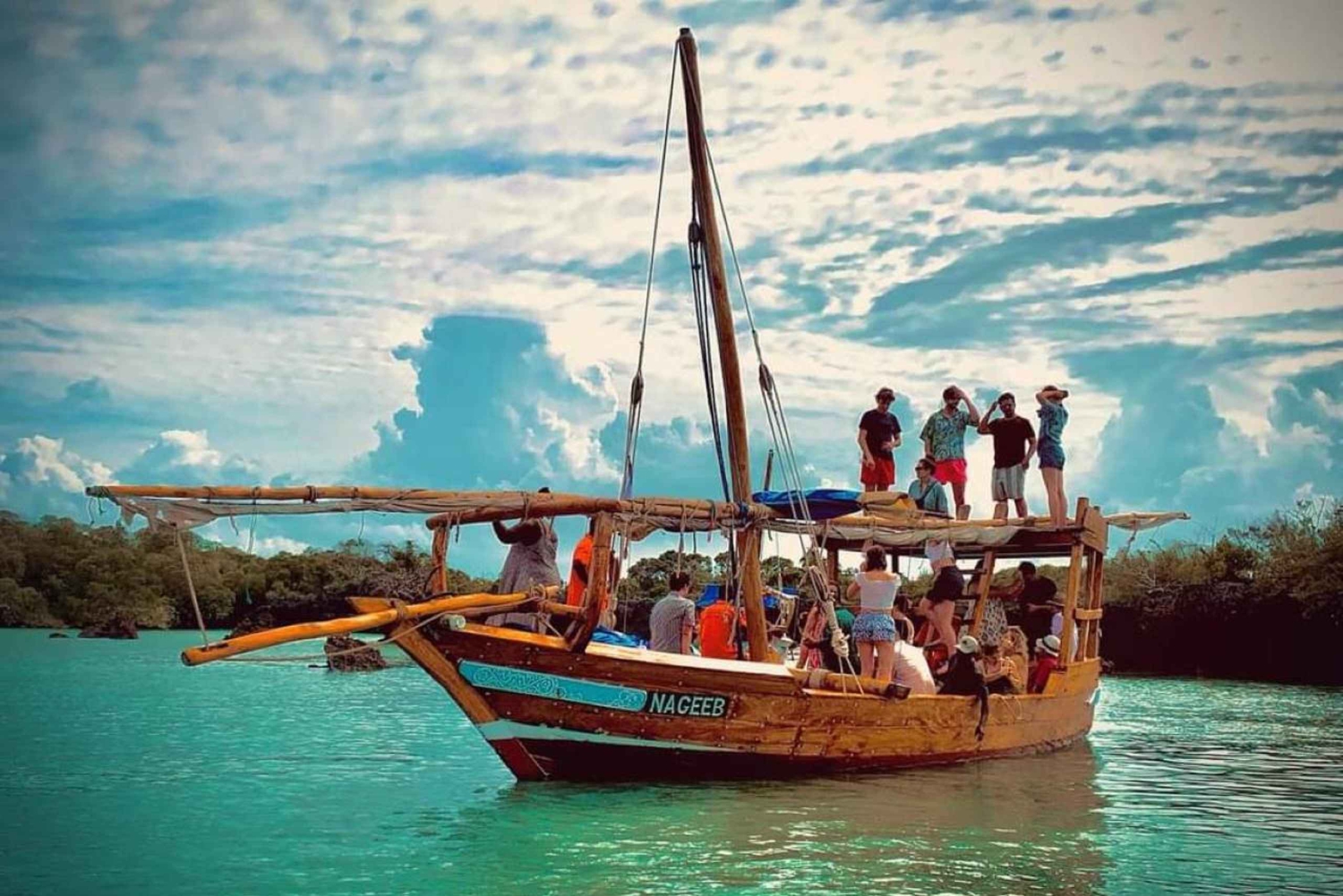 Zanzibar: tour Safari blu