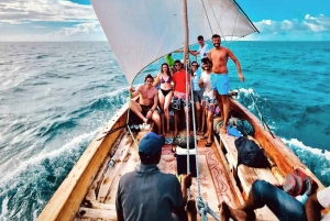 Zanzibar: Safari blue tour